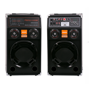 PROMOTIE Set Boxe Active Profesionale 284 500W, 20 INCH, Difuzor 25CM, Joc Lumini, Karaoke, Bass Foarte Puternic, Conexiune Bluetooth, USB, RadioFM, CADOU Microfon Profesional si Telecomanda 